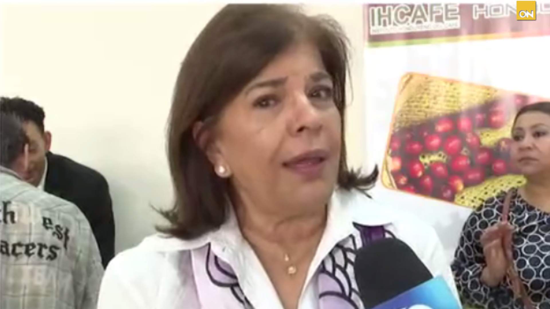 Expresidenta del COHEP insta a preservar estabilidad política y confiar en elecciones de Honduras