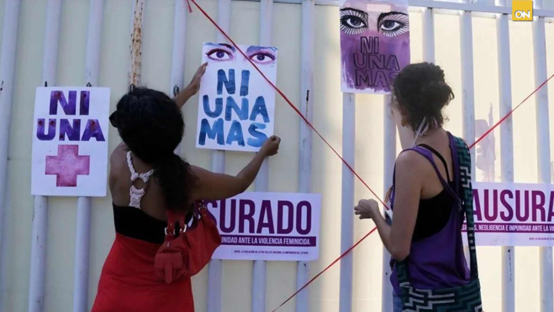 Defensora violencia mujer