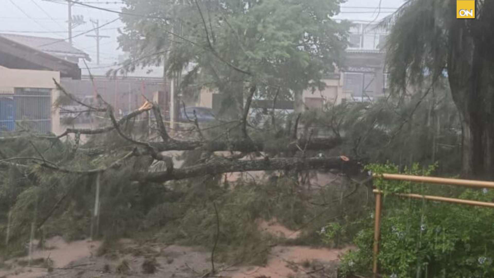 ENEE lluvias