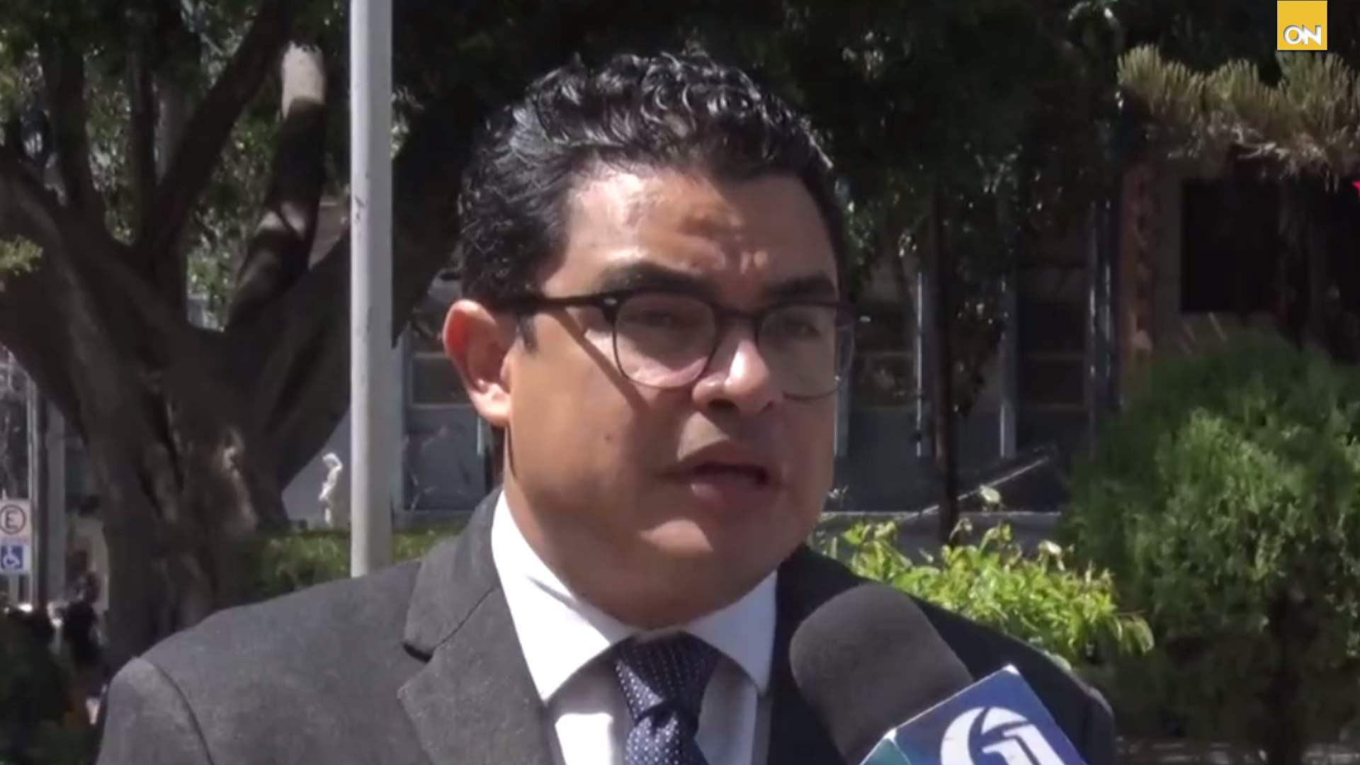 Vicecanciller Gerardo Torres afirma que las FF.AA. esta respondiendo a la Constitución, no a los intereses políticos