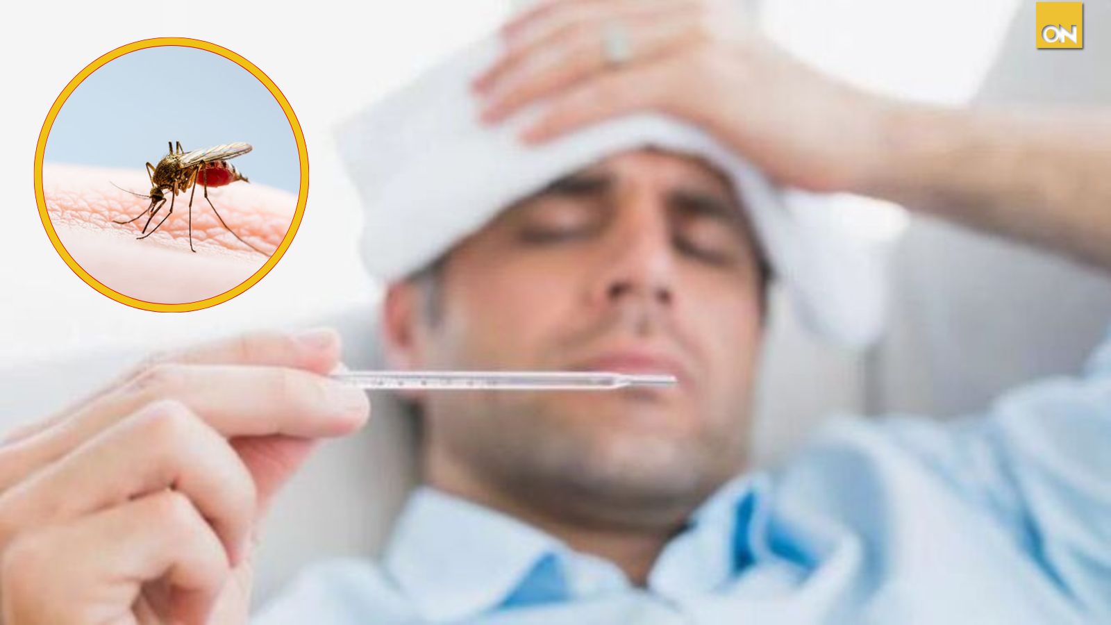 Honduras registra más de 13 mil casos de dengue en lo que va del año