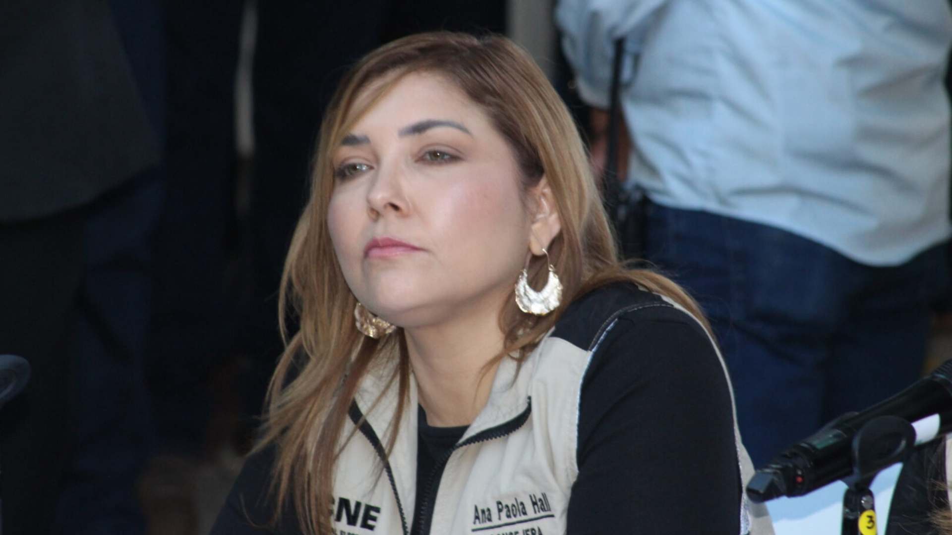 Consejera Ana Paola Hall indica progresos en cronograma electoral