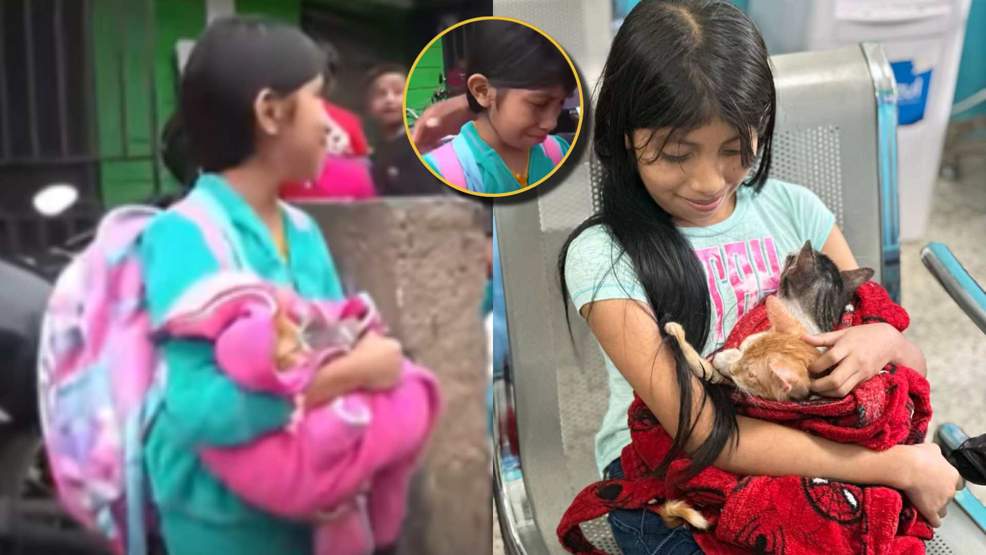 Danna y sus gatitos: Niña afectada en colonia El Reparto de TGU