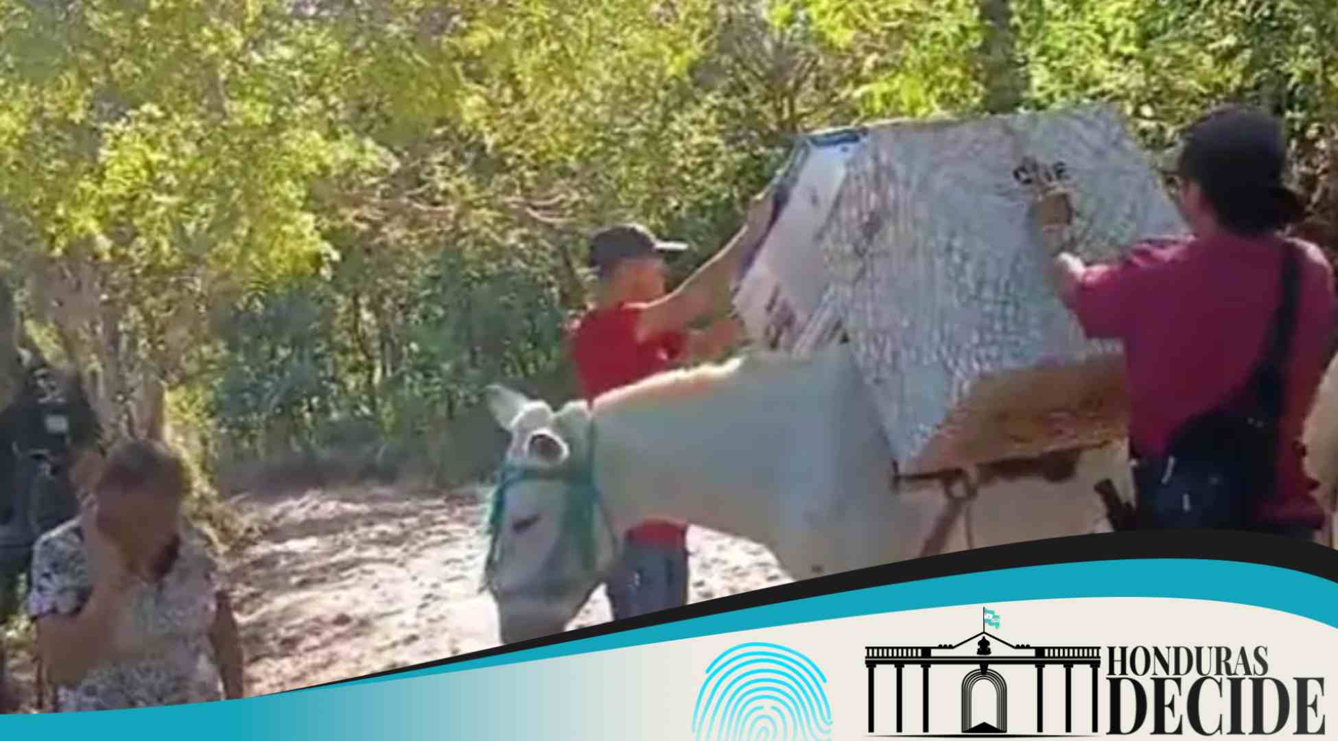 Maletas electorales llegan a Colomoncagua en mulas por difícil acceso a centro de votación
