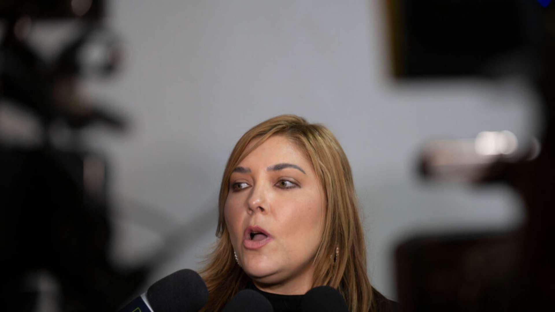 Consejera Ana Paola Hall.