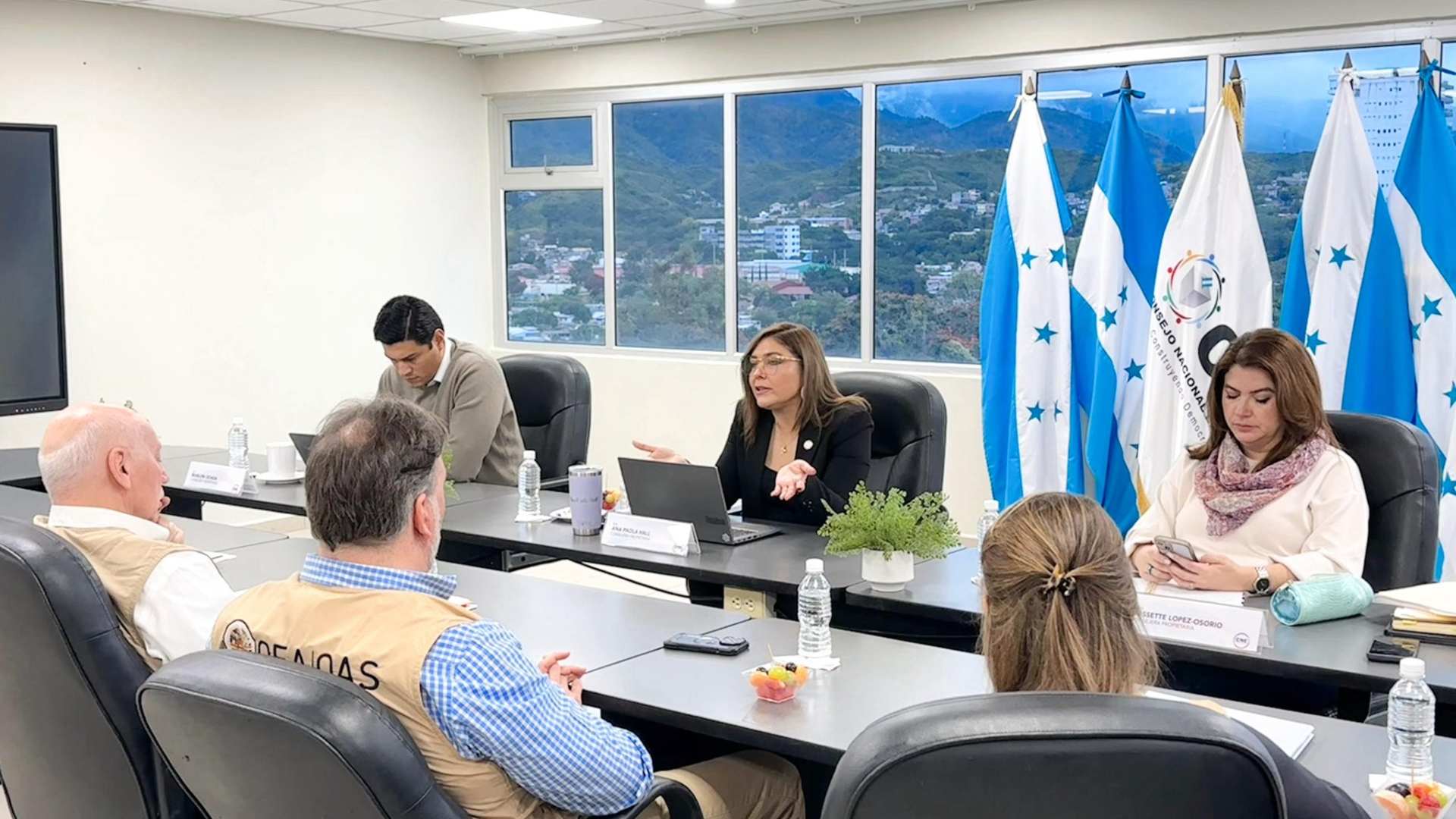 ¿Qué temas abordaron consejeros del CNE con observadores de OEA?
