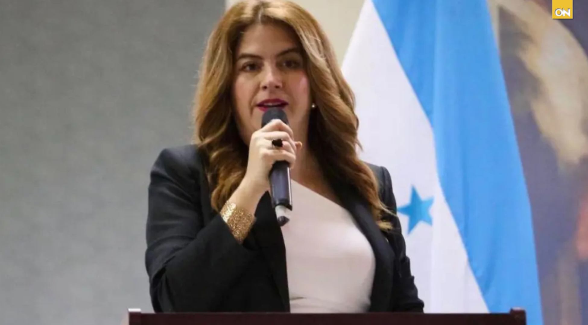 CNE reporta nueva falla en sistema de divulgación de actas y consejera denuncia irregularidades
