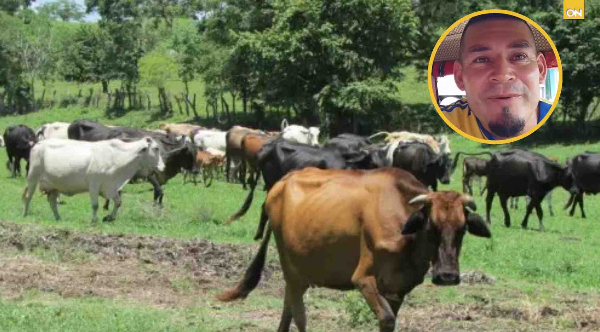 Apuesta política le sale cara a patuqueño: pierde vacas, moto y dinero