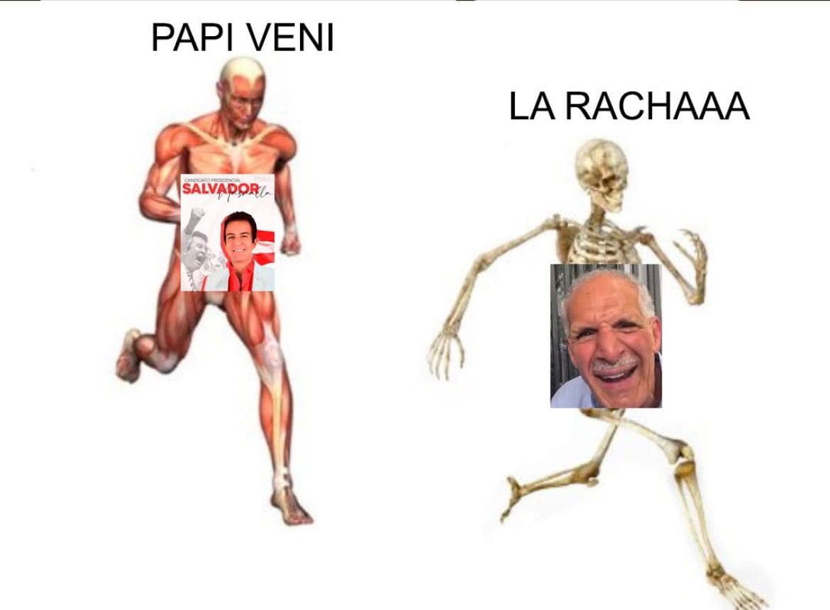 memes elecciones
