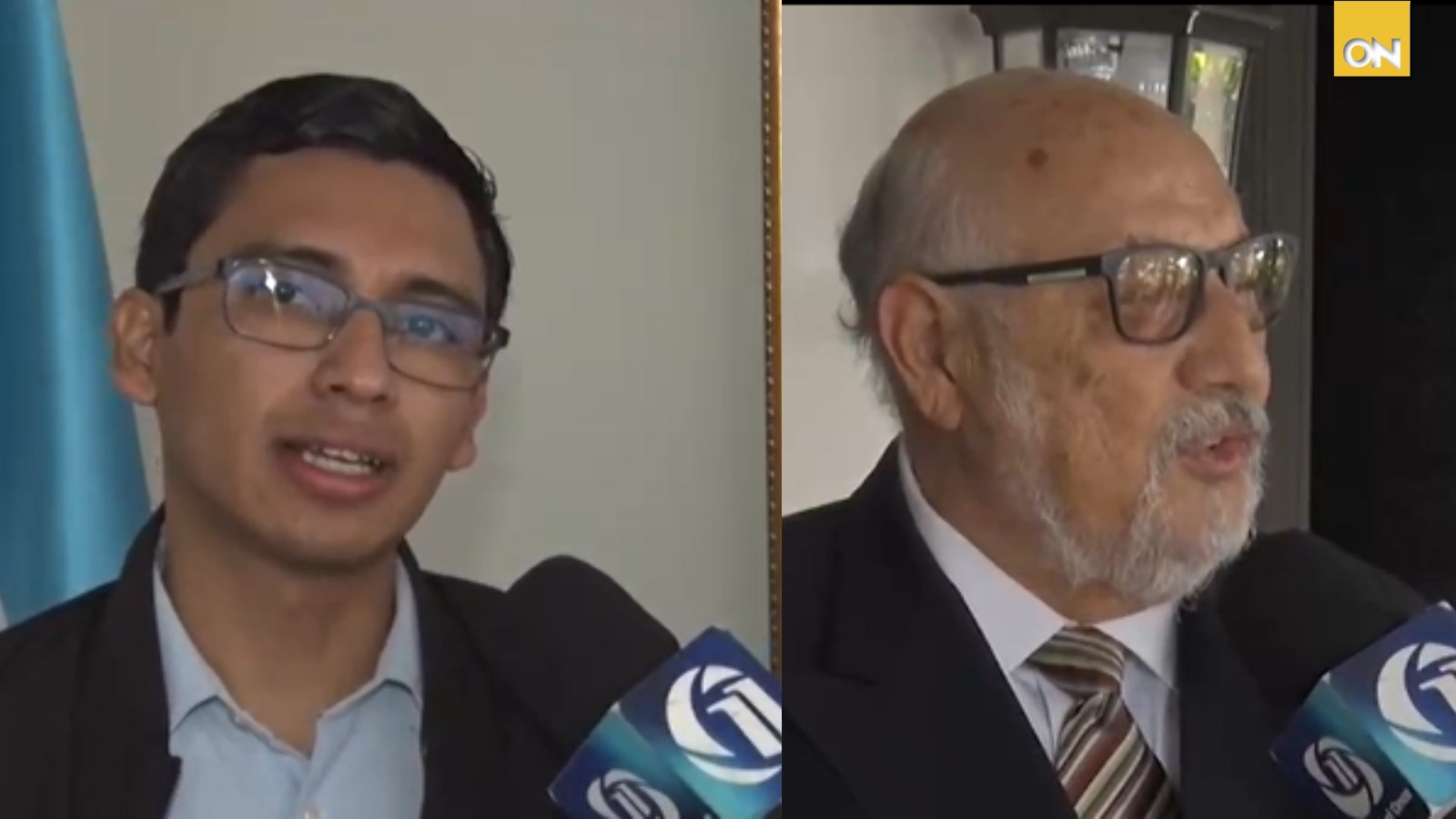 constitucionalistas autogolpe gobierno