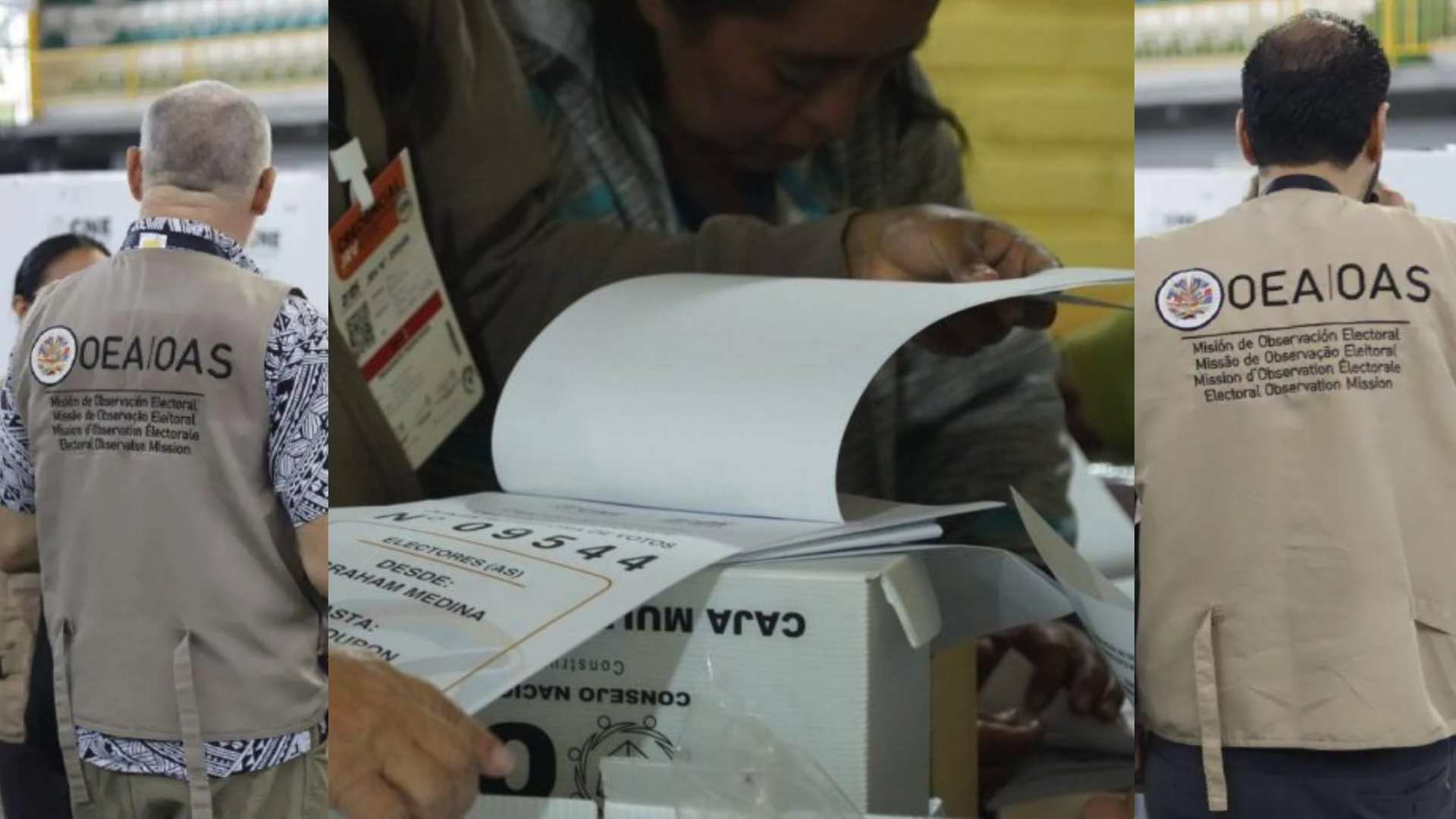 OEA felicita a Honduras ante desarrollo de elecciones