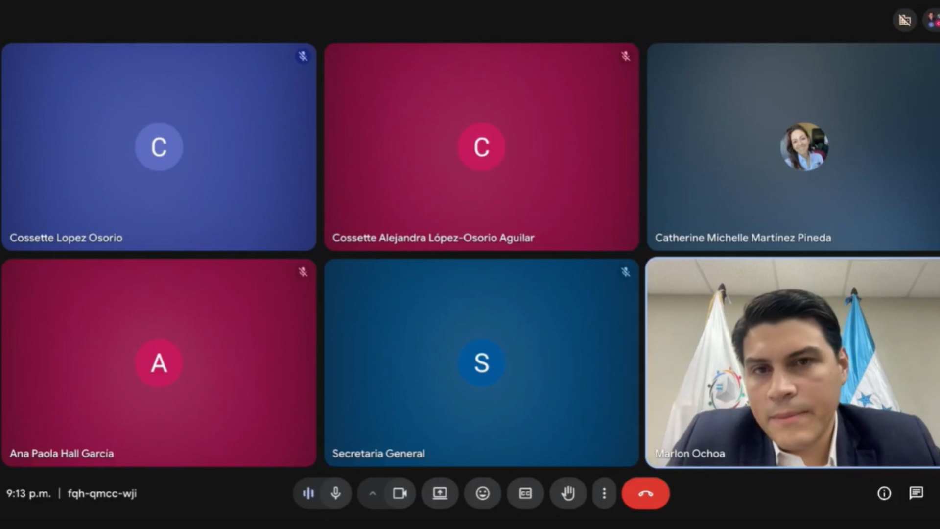 Posturas de consejeros en sesión virtual del pleno del CNE