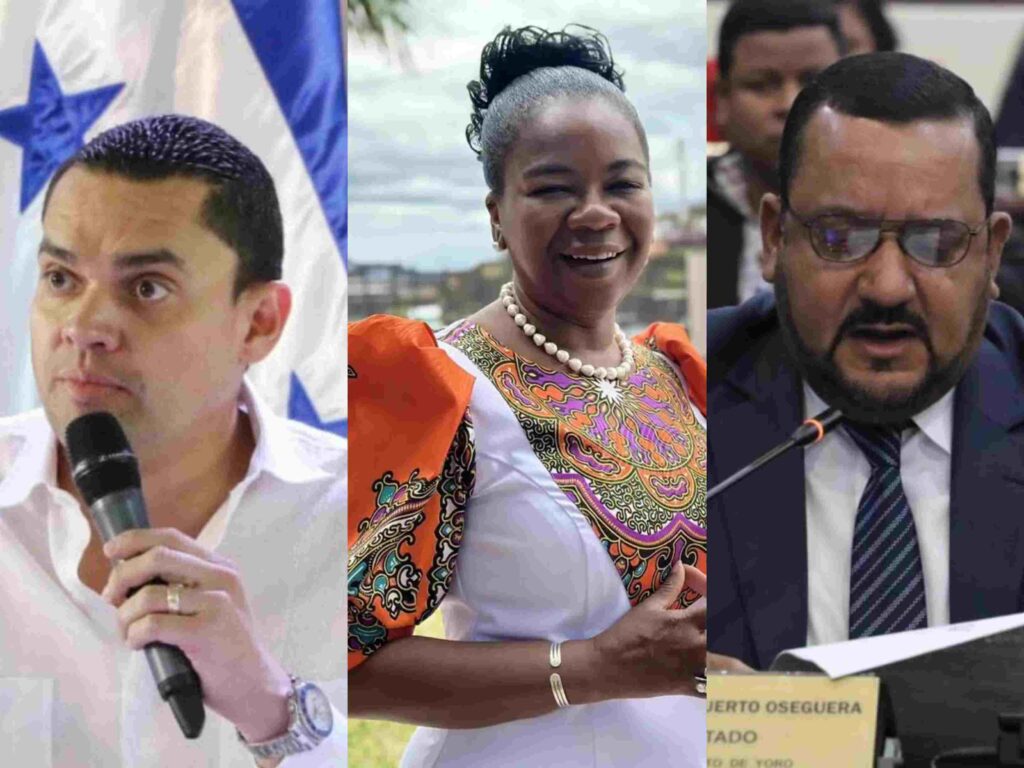 ¿Quiénes son los diputados que estarán de nuevo en el Congreso Nacional 2026-2030?