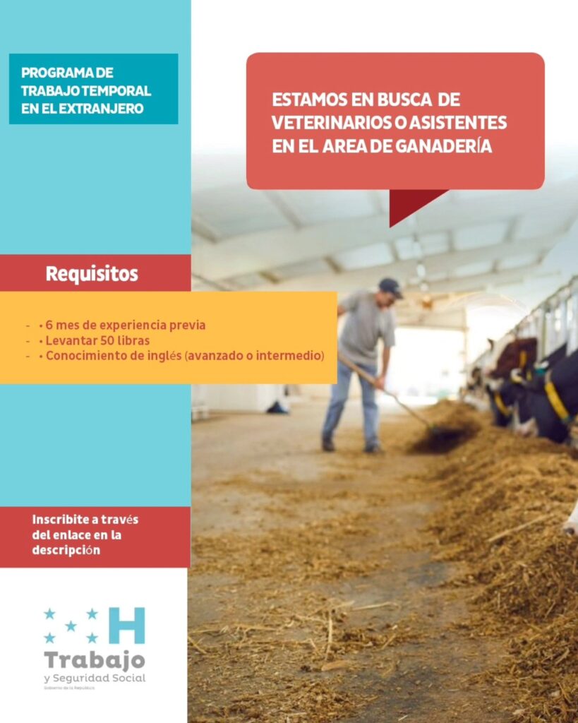 Vacantes empleo disponibles para hondureños en extranjero