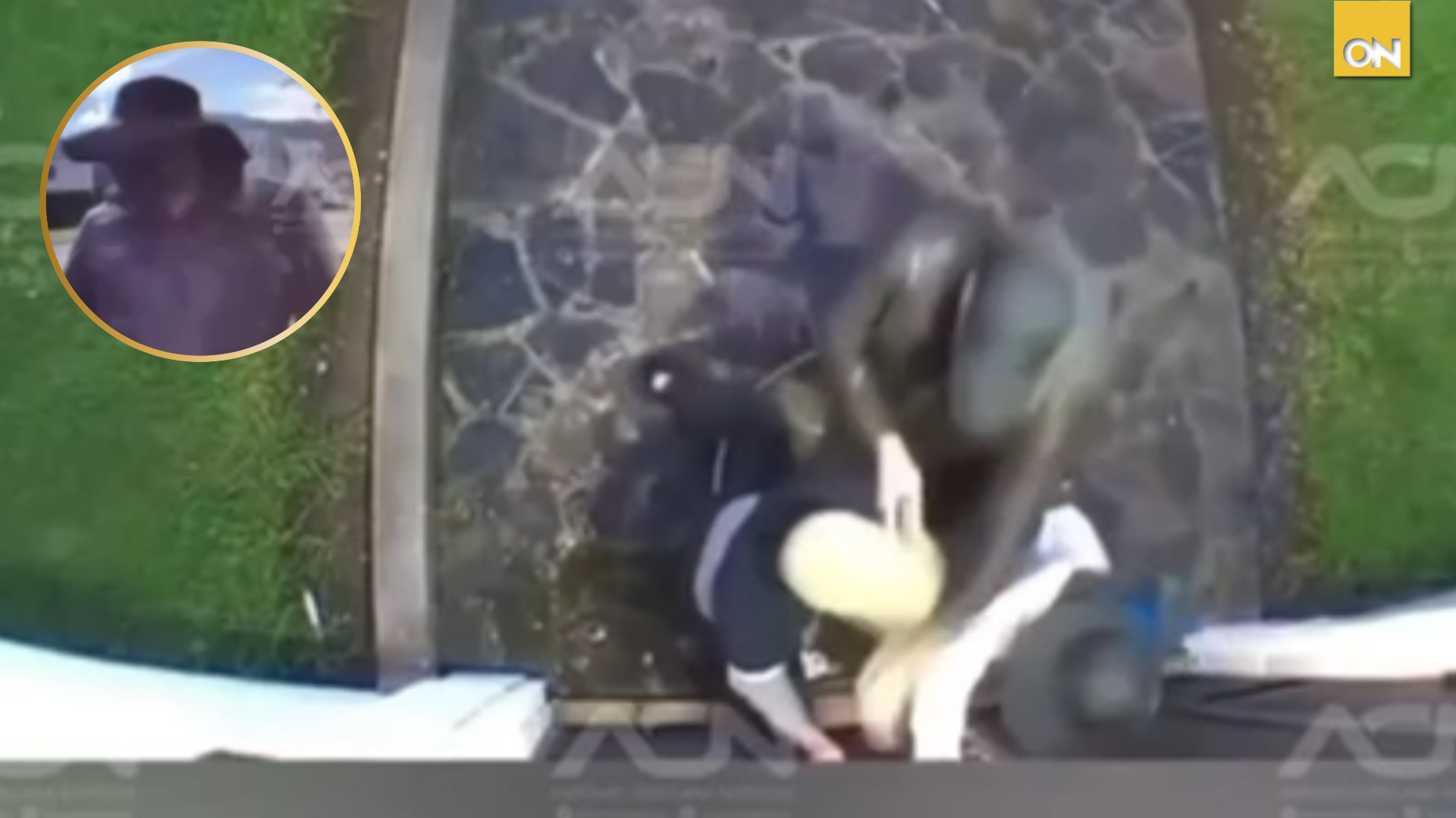 Video| Asaltantes se hacer por repartidores para robar casas en San Pedro Sula