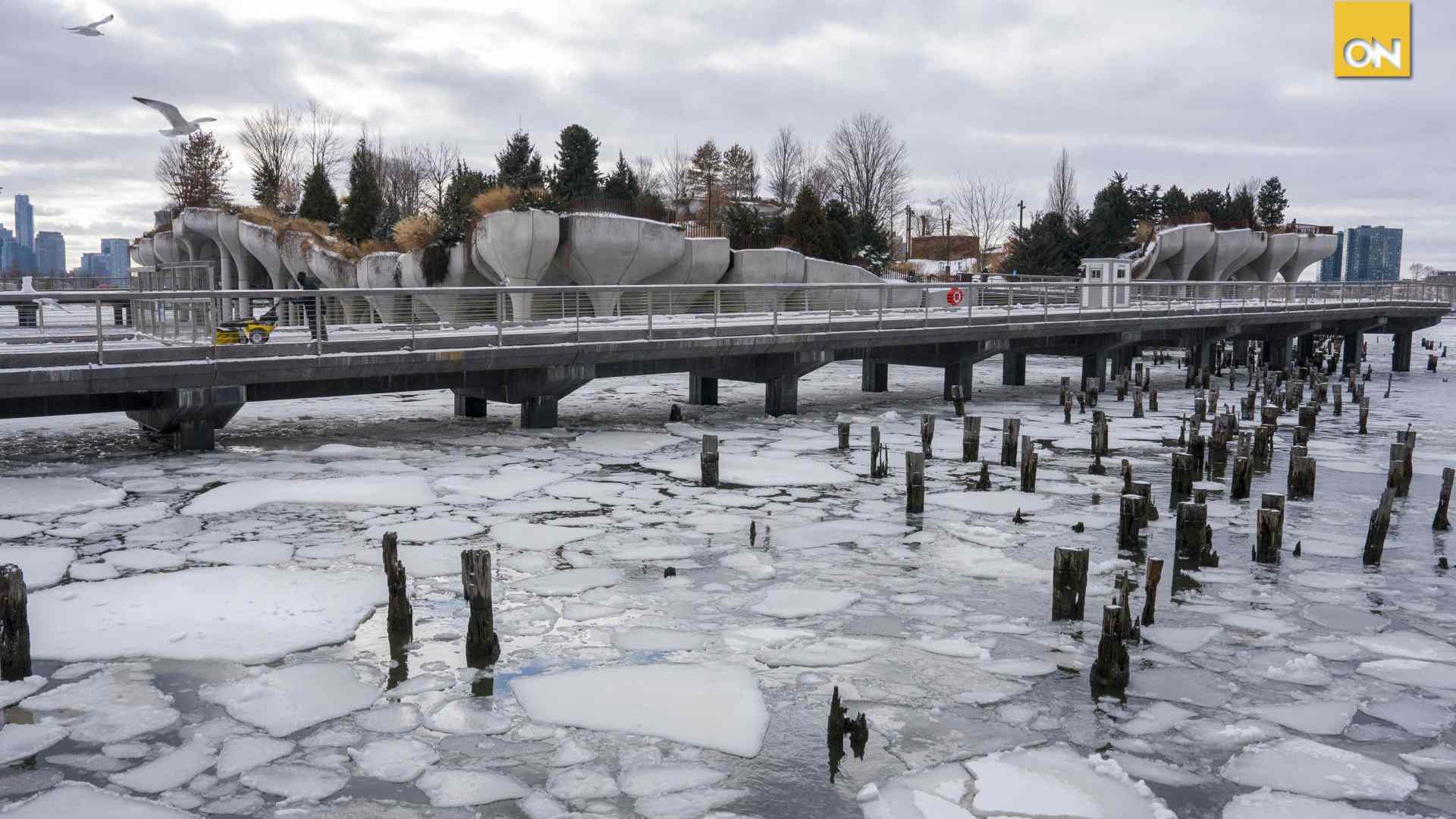 Tormenta invernal paraliza EE. UU. dejando 34 fallecidos y caos en aeropuertos