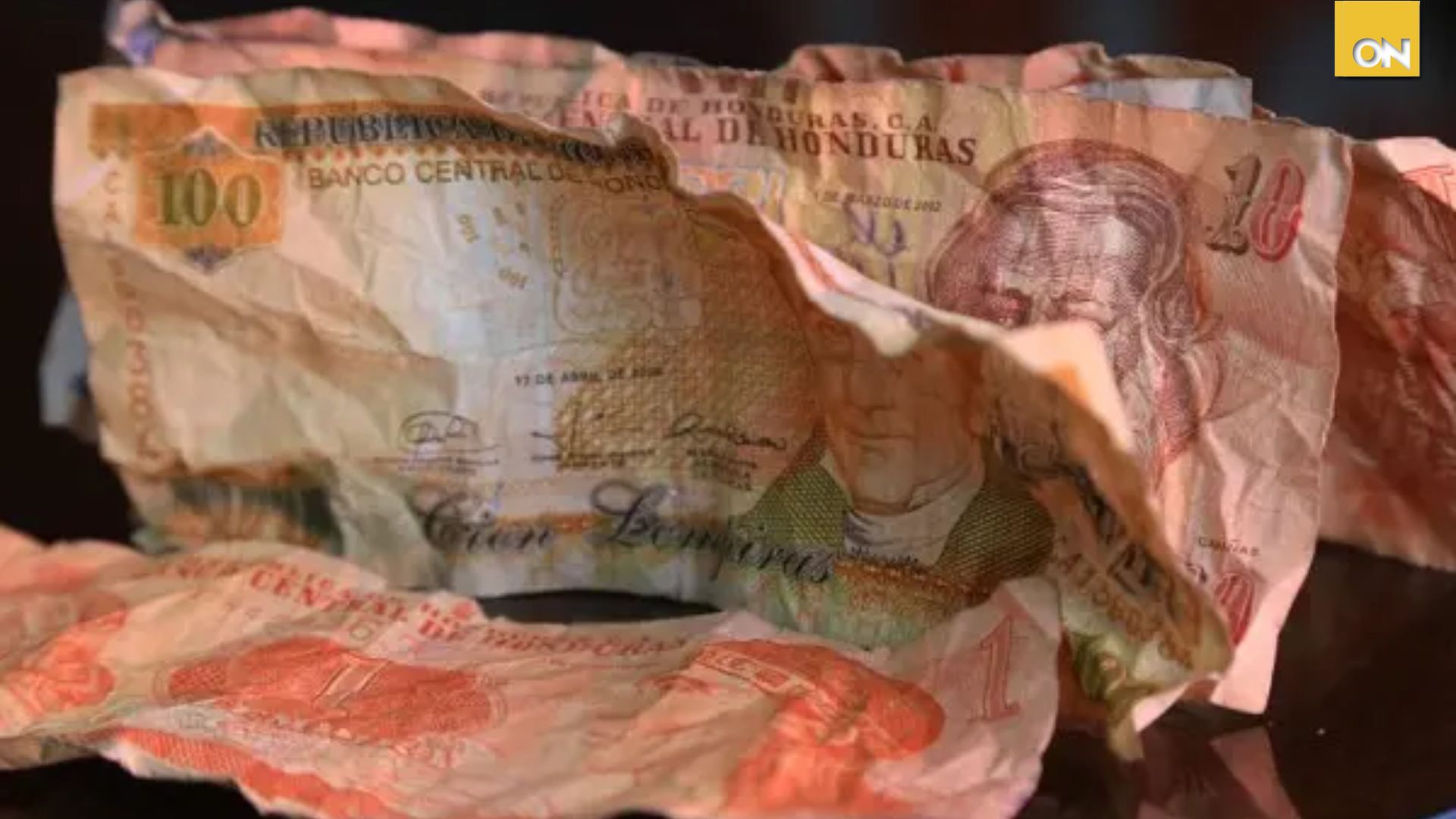 Hondureña muestra cómo los ratones devoraron sus ahorros y se vuelve viral