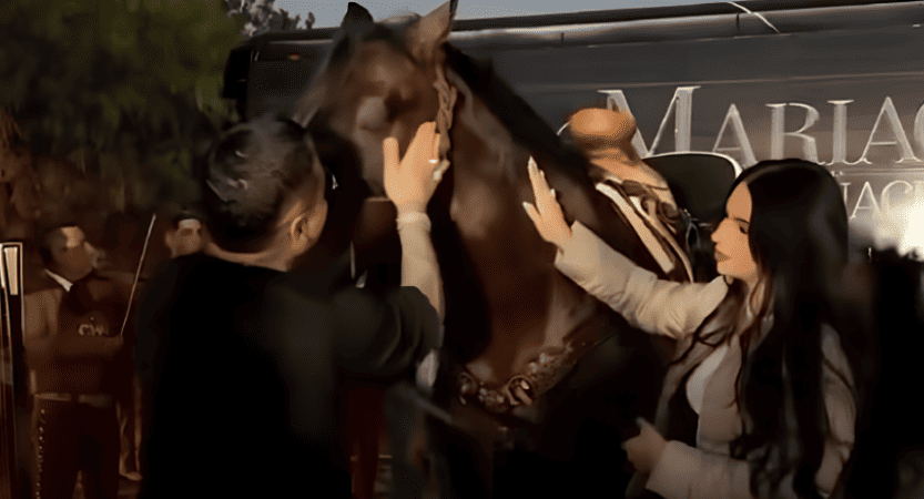¿Cuánto podría costar el primer caballo de Christian Nodal, obsequio de Ángela Aguilar?
