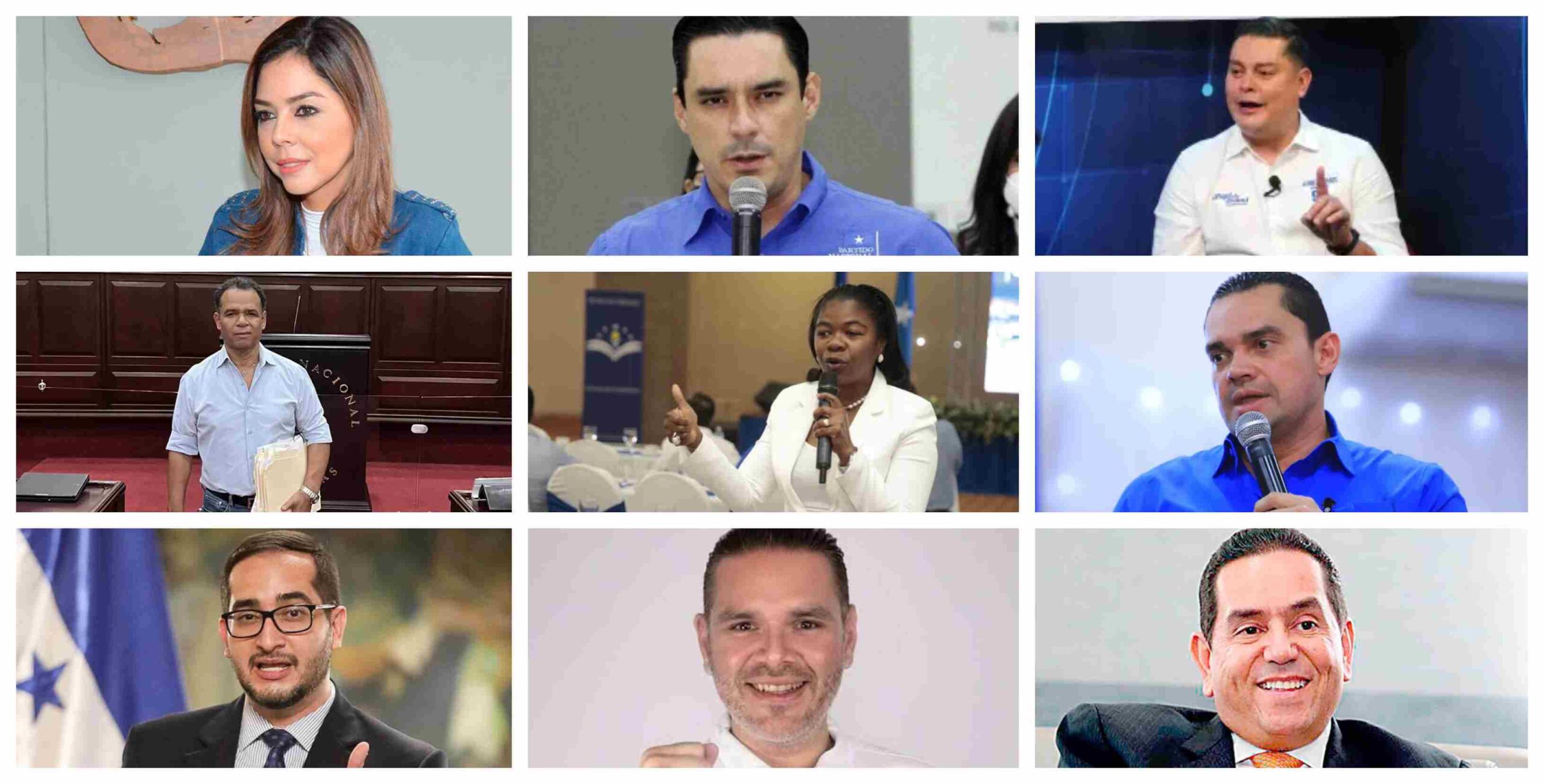 diputados PN
