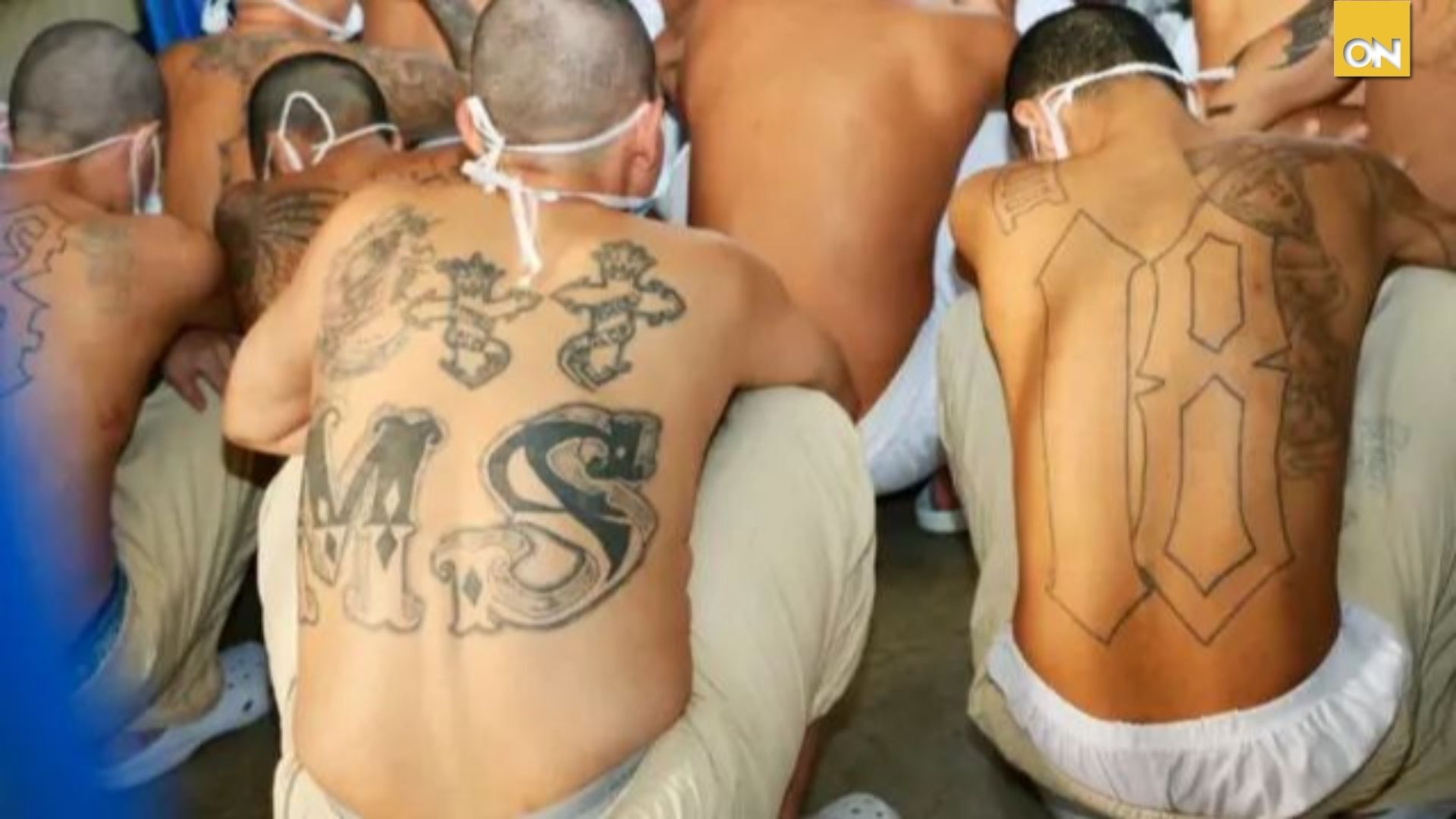 Analistas aseguran que declarar terrorist*s a la MS-13 y la pandilla 18 facilitan la captura de sus miembros
