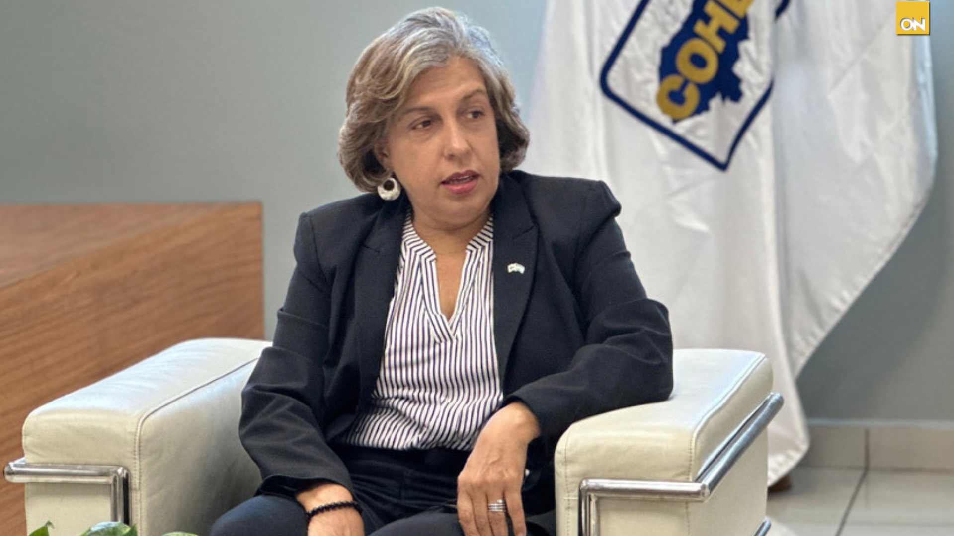 Anabel Gallardo, del Cohep, pide tiempo para el gobierno