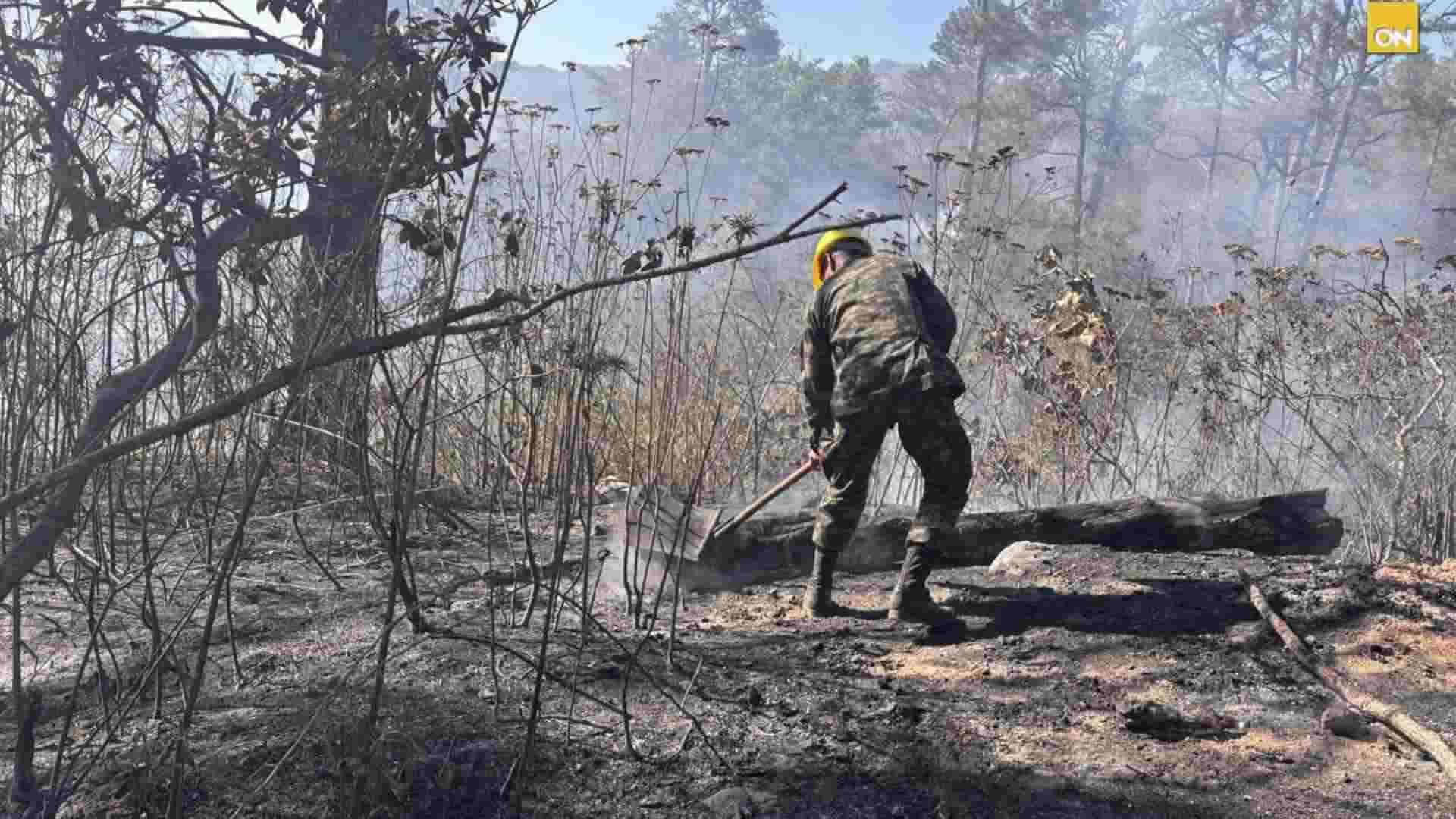 FFAA combaten siete incendios forestales en Honduras