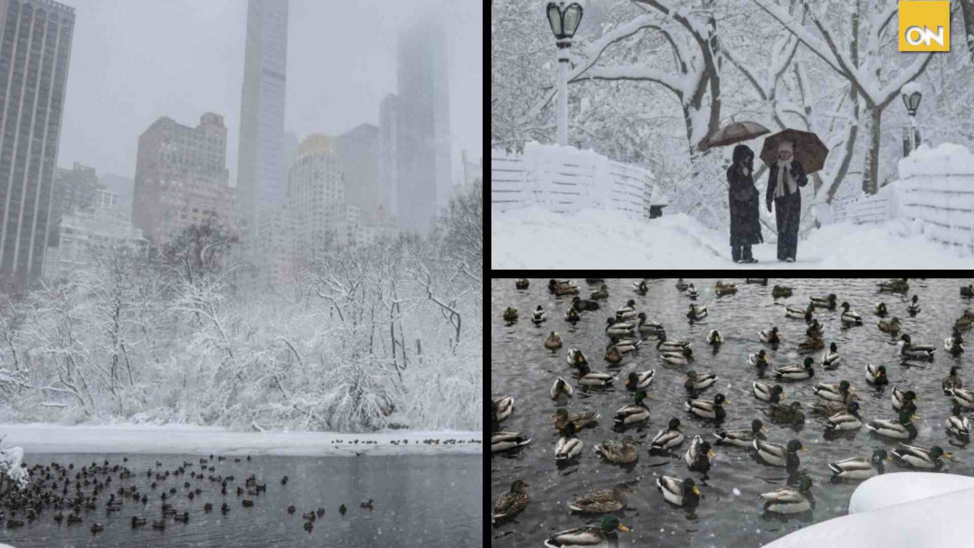 El noreste de EEUU se recupera de una brutal tormenta de nieve que afectó a vuelos y canceló clases