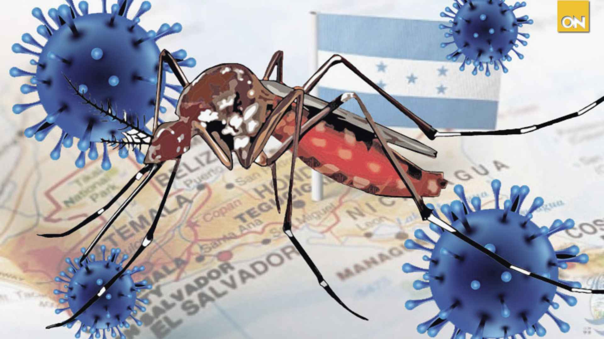 Más de 1,000 casos de dengue se registran en las ultimas cinco semanas en Honduras