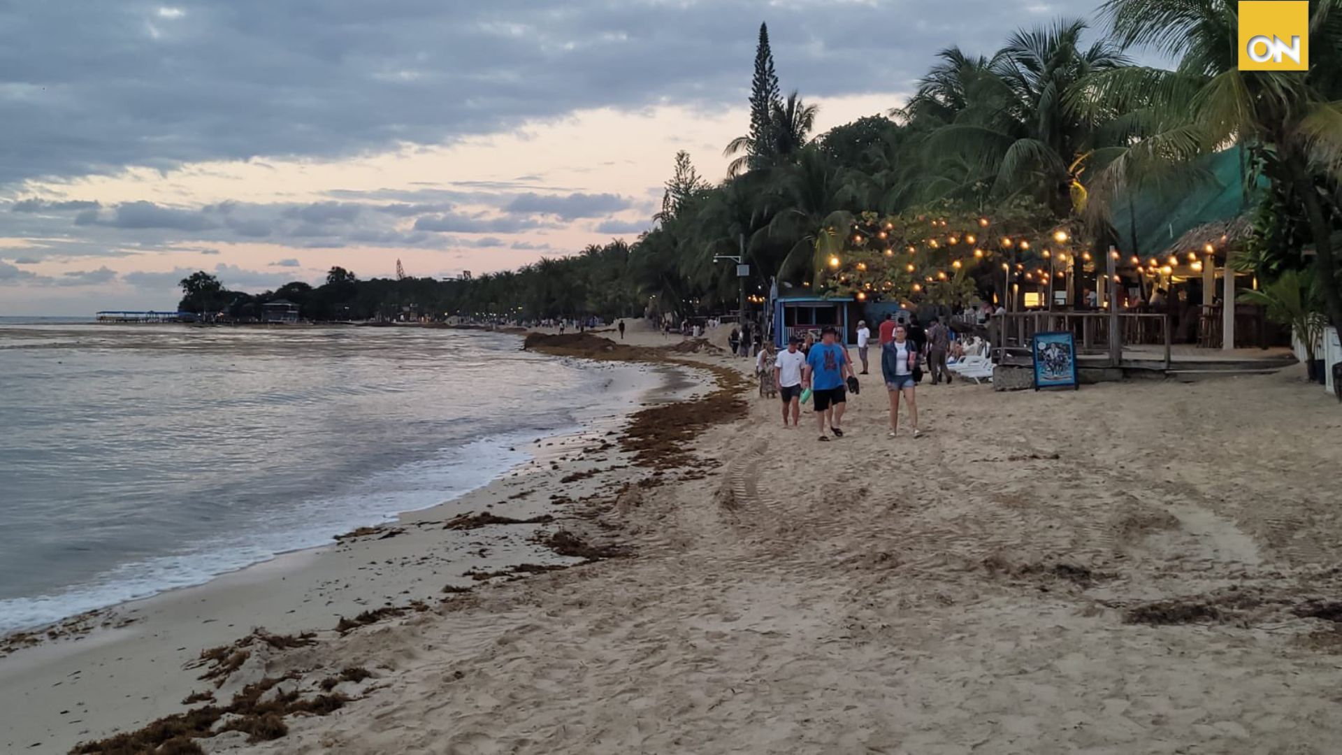 Roatán avanza en limpieza de sargazo y West Bay reabre al turismo