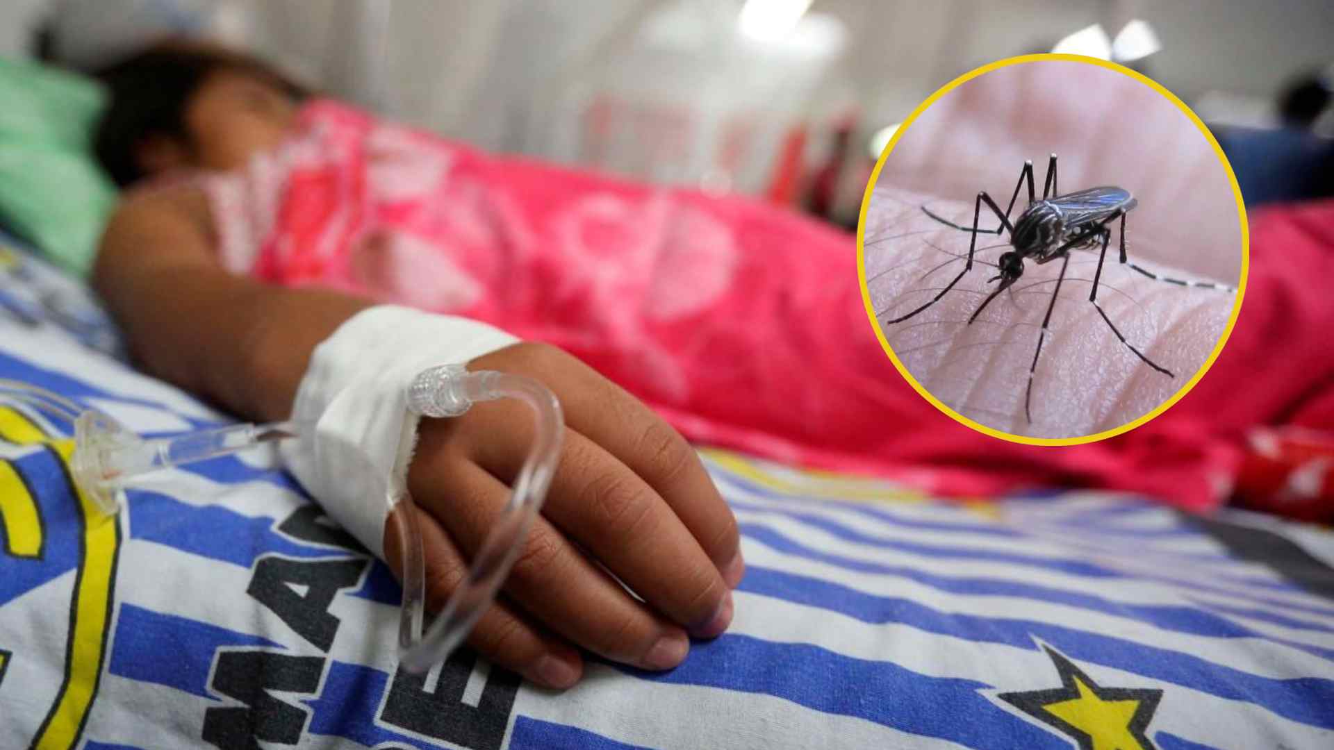 Salud mantiene vigilancia por dengue y confirma dos muertes sospechosas en evaluación