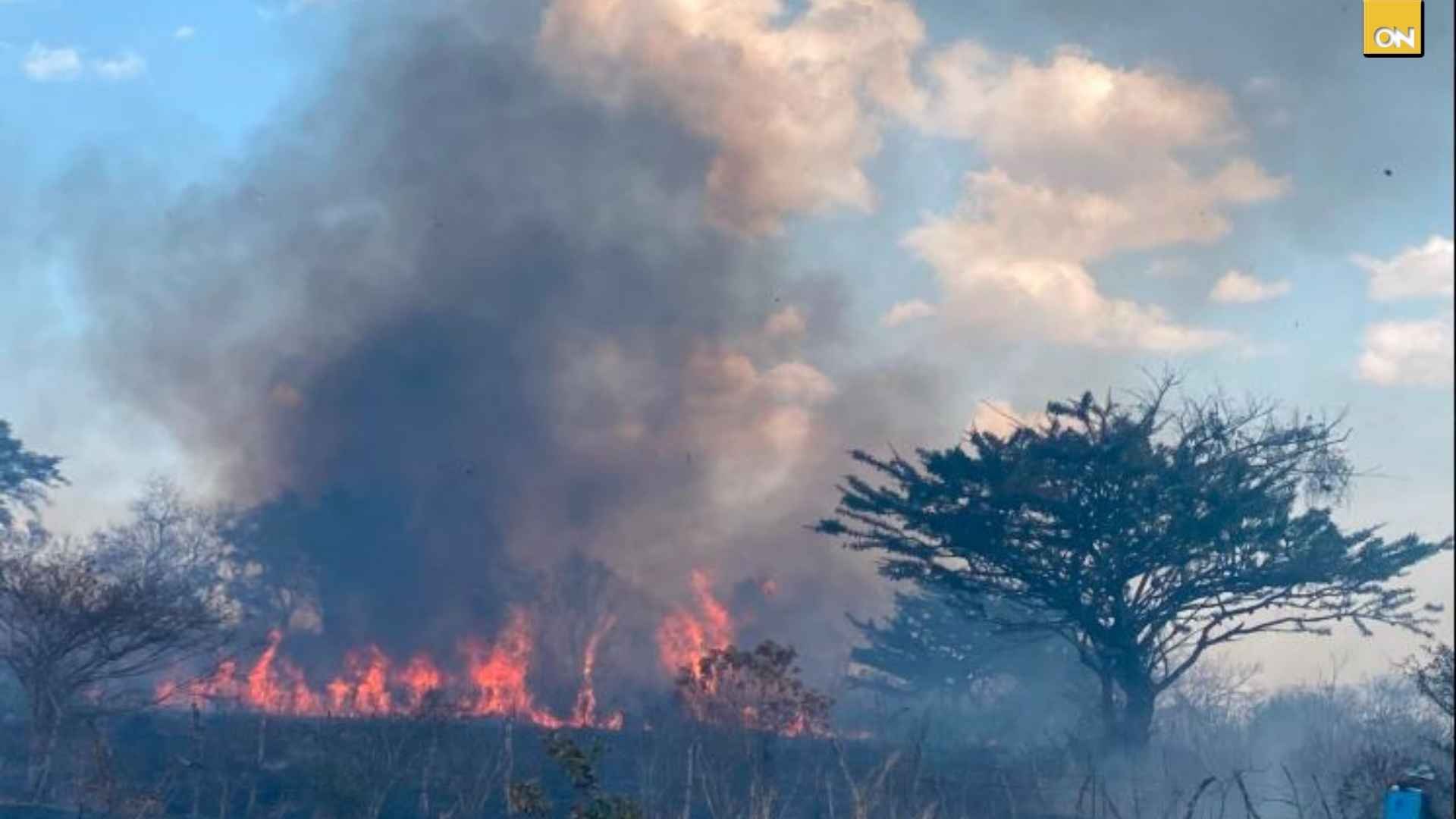 Más de 120 incendios forestales encienden la alarma nacional en Honduras