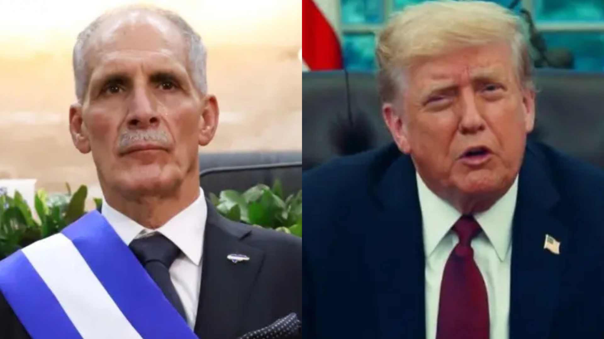 Nasry Asfura sostendrá encuentro histórico con Donald Trump en Estados Unidos: estas son las expectativas