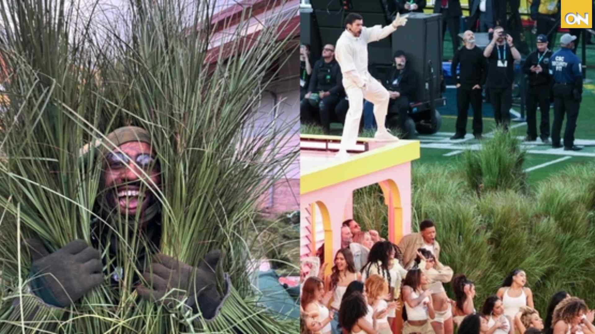 arbustos bad bunnyv
