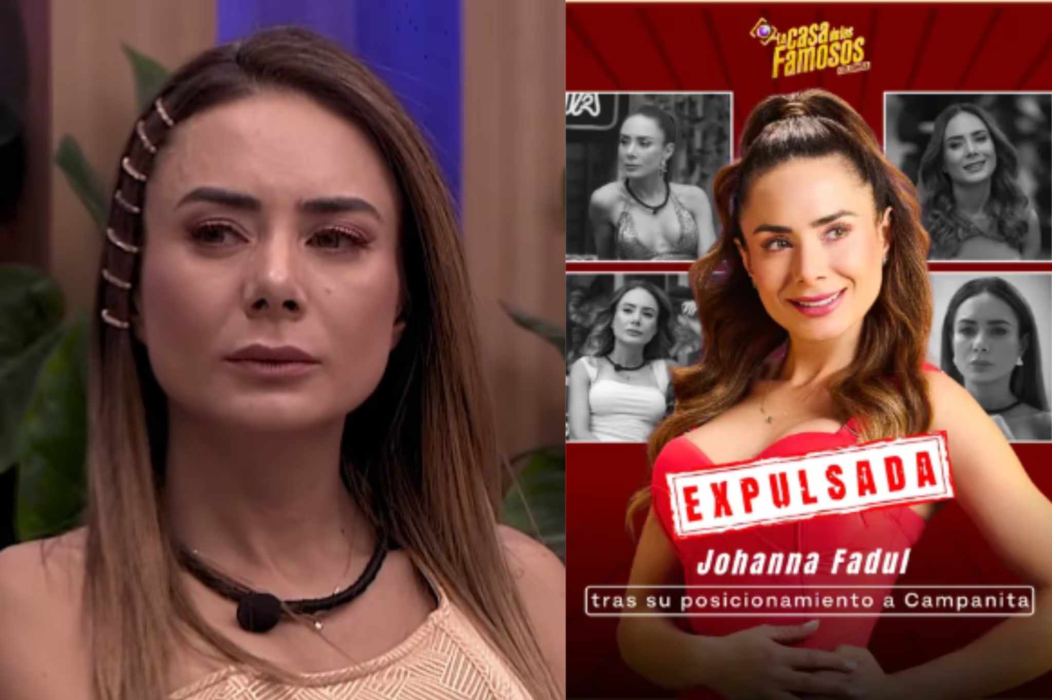 johanna fadul