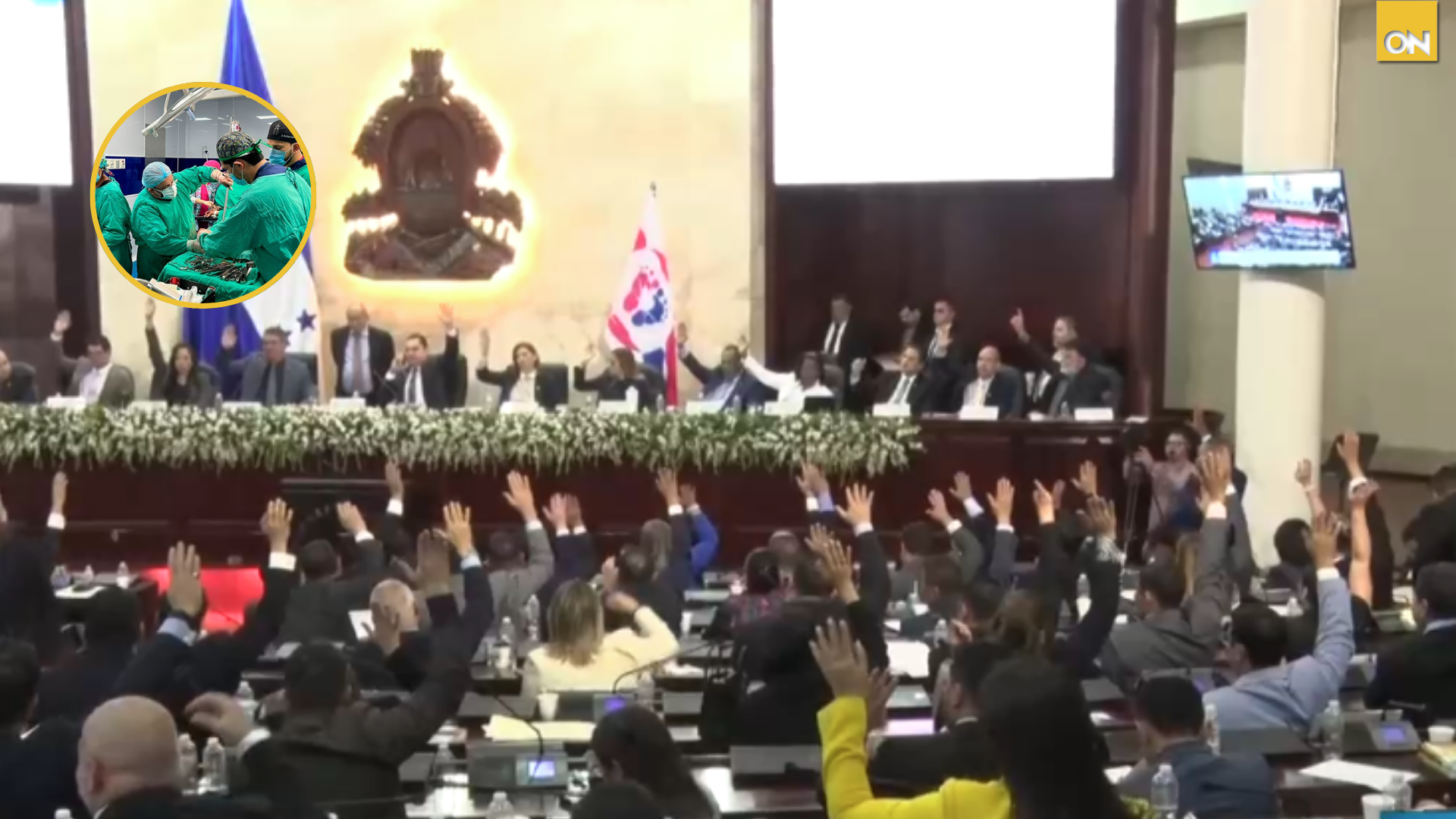 Congreso Nacional ratifica decreto de emergencia sanitaria por crisis en hospitales públicos
