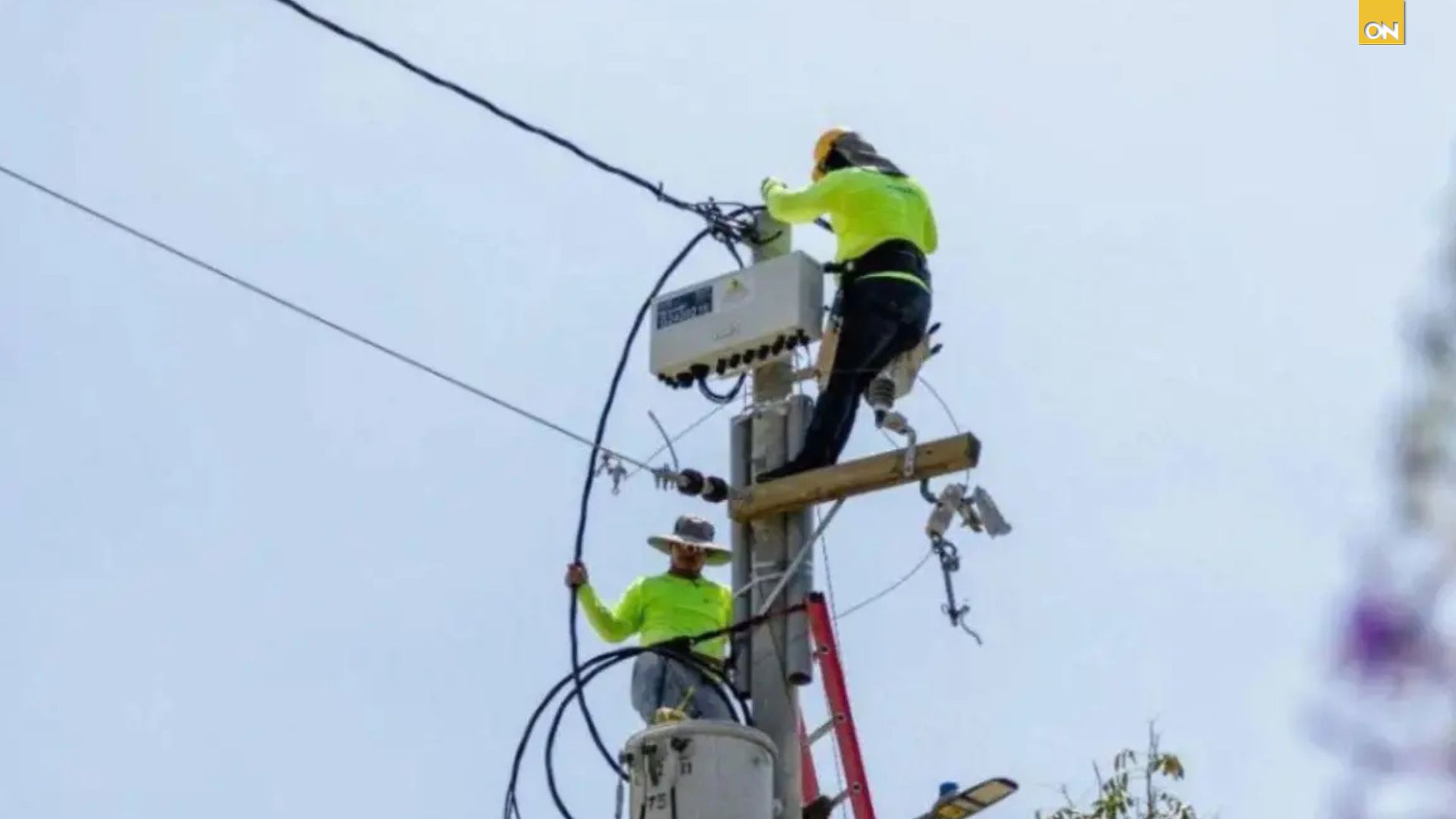 La Comisión Reguladora de Energía Eléctrica (CREE) informó este domingo sobre el ajuste trimestral de las tarifas eléctricas que aplicará la Roatan Electric Company (RECO)