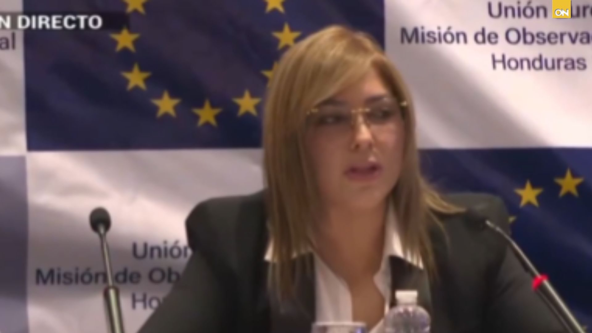 “El nivel de ataque fue tan grande, que quienes estaban encargados de impartir justicia y proteger a las autoridades electorales se convirtieron en enemigos del proceso y tendrán que rendir cuentas”, declaró Hall ante medios de comunicación.