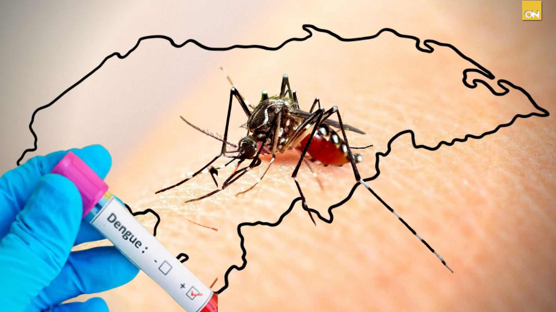 Casos dengue Honduras