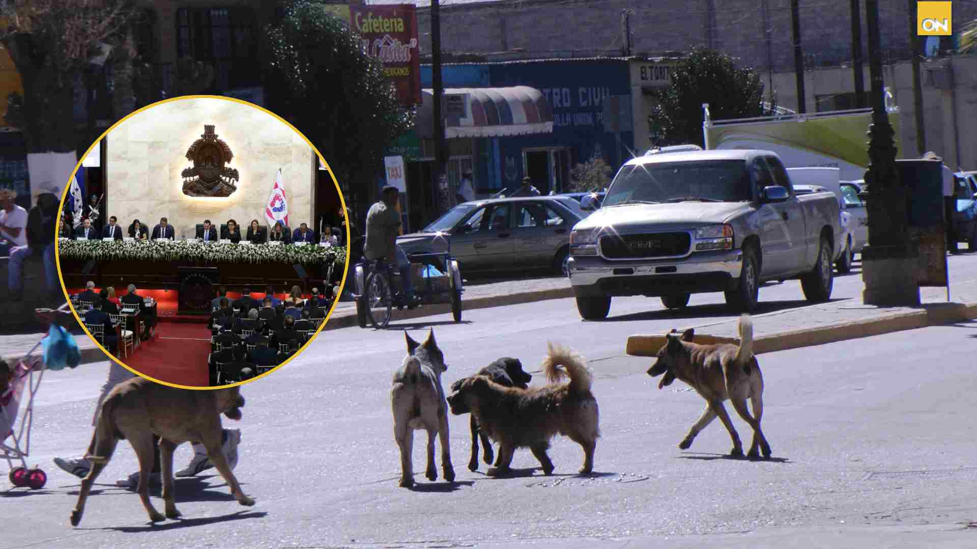Congreso Nacional esterilización