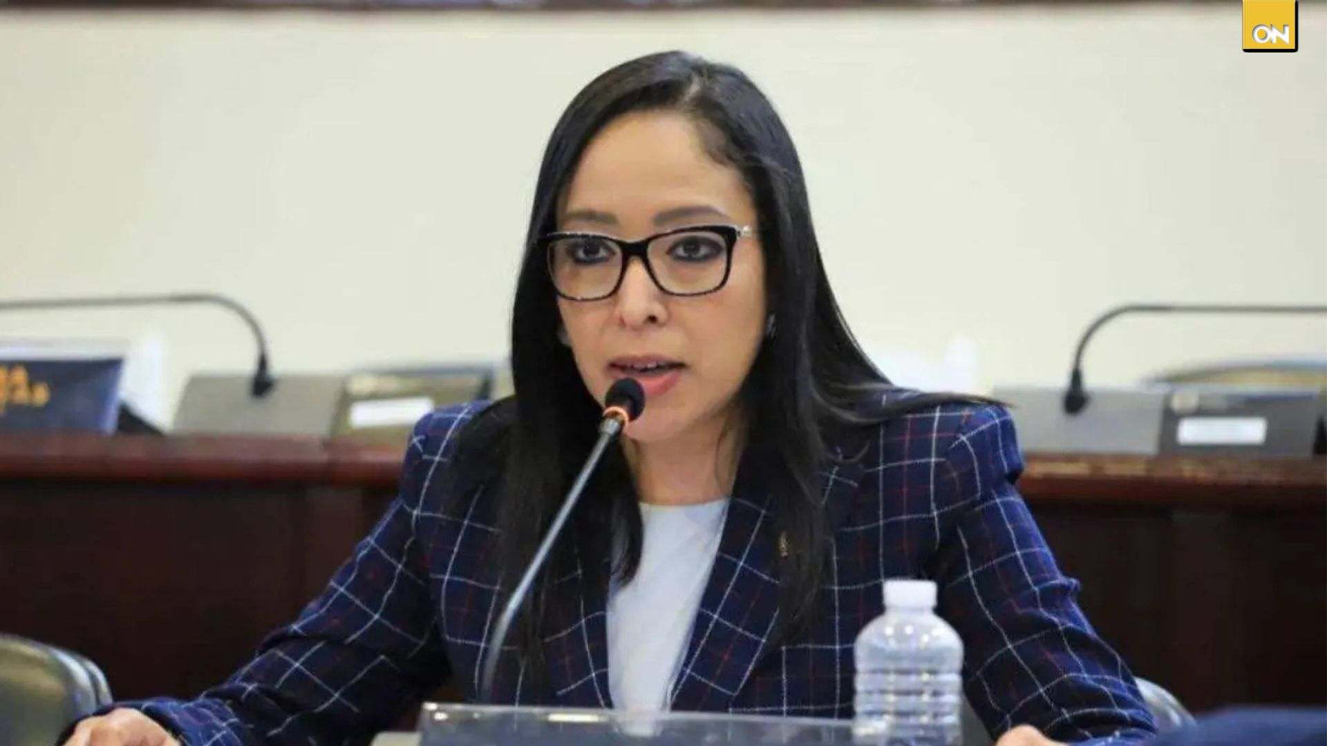 La diputada del Partido Nacional, Lisi Cano, afirmó que la comisión especial anunciada por el Congreso Nacional para atender el conflicto electoral en Guanaja tendrá un papel exclusivamente de mediación, sin facultades para intervenir en resoluciones de los órganos electorales.