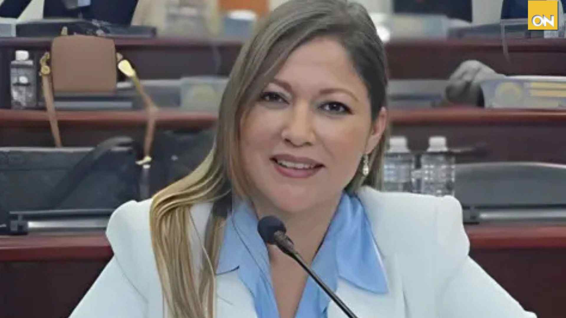 Ministra revela excesos en mecanismo de protección: funcionarios habrían usado hasta tres carros blindados