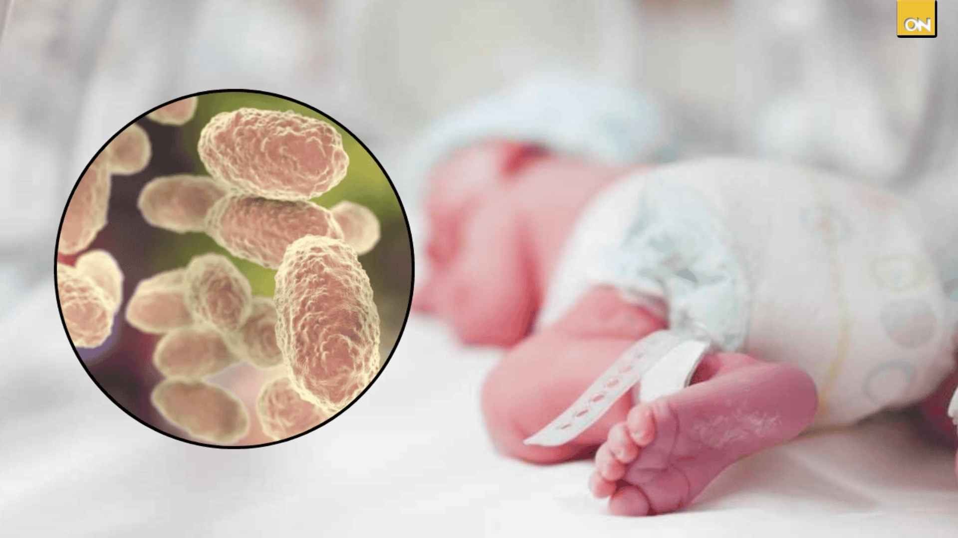 Cuatro niños fallecen por tosferina especialistas llaman a reforzar la vacunación
