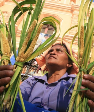 Domingo de Ramos