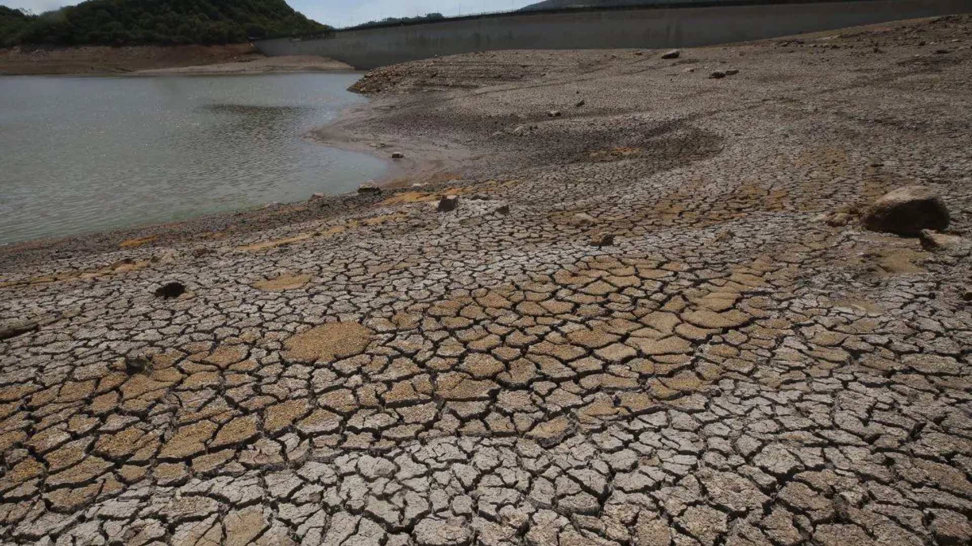 ¿Habrá sequía en Honduras por El Niño en 2026? Esto advierte Copeco