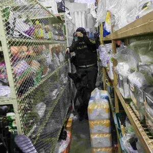 Una serie de operativos simultáneos se llevó a cabo este 20 de marzo en varios mercados y zonas estratégicas de la capital, con el objetivo de desarticular estructuras dedicadas al almacenamiento y distribución de drogas