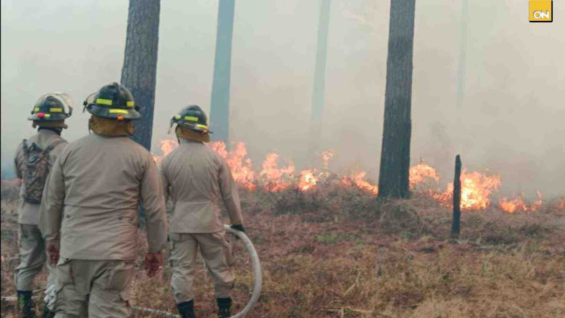 Incremento de incendios forestales y en zacateras preocupa en la zona central del país