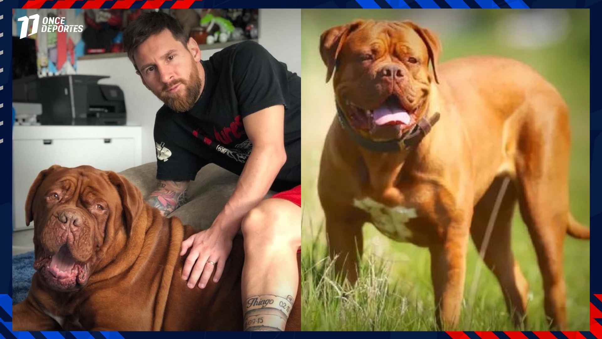 Lionel Messi Argentina Mundial 2026 Hulk perro valor precio mercado campeón