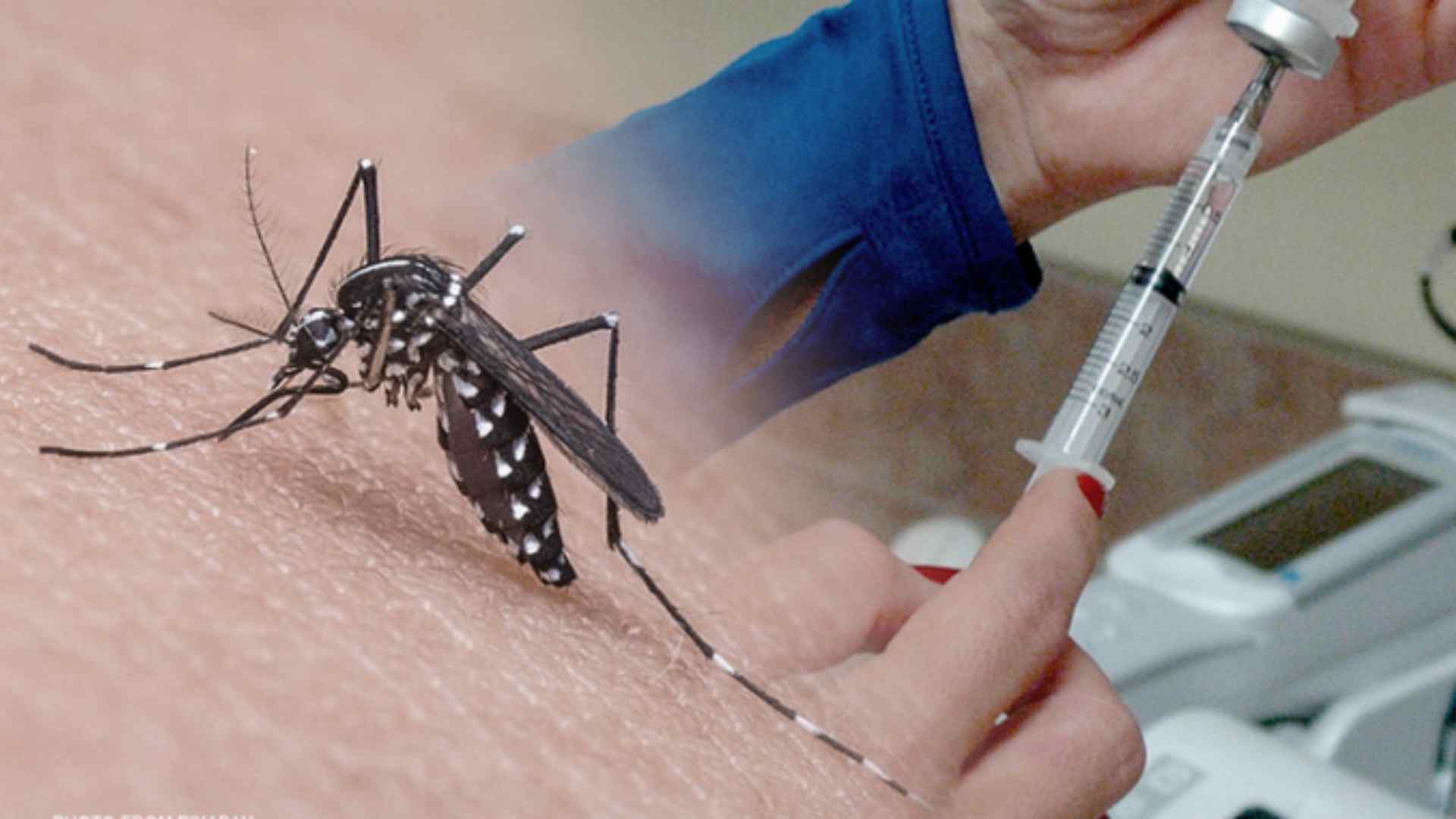 Vacunas contra el dengue se vencen en Honduras por baja asistencia a centros de salud