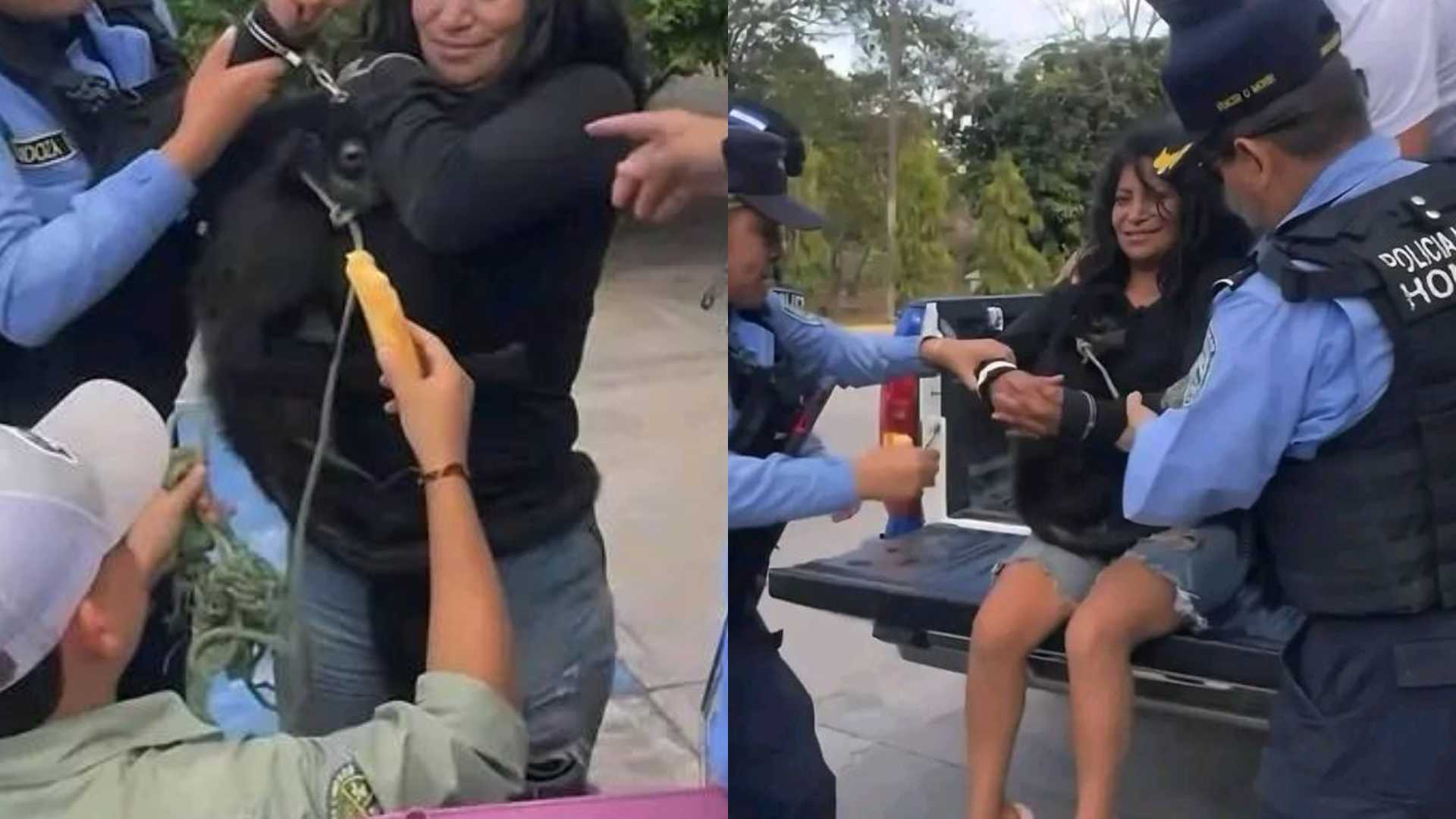 ¿Hondureña capturada por alimentar a mono en Celaque?