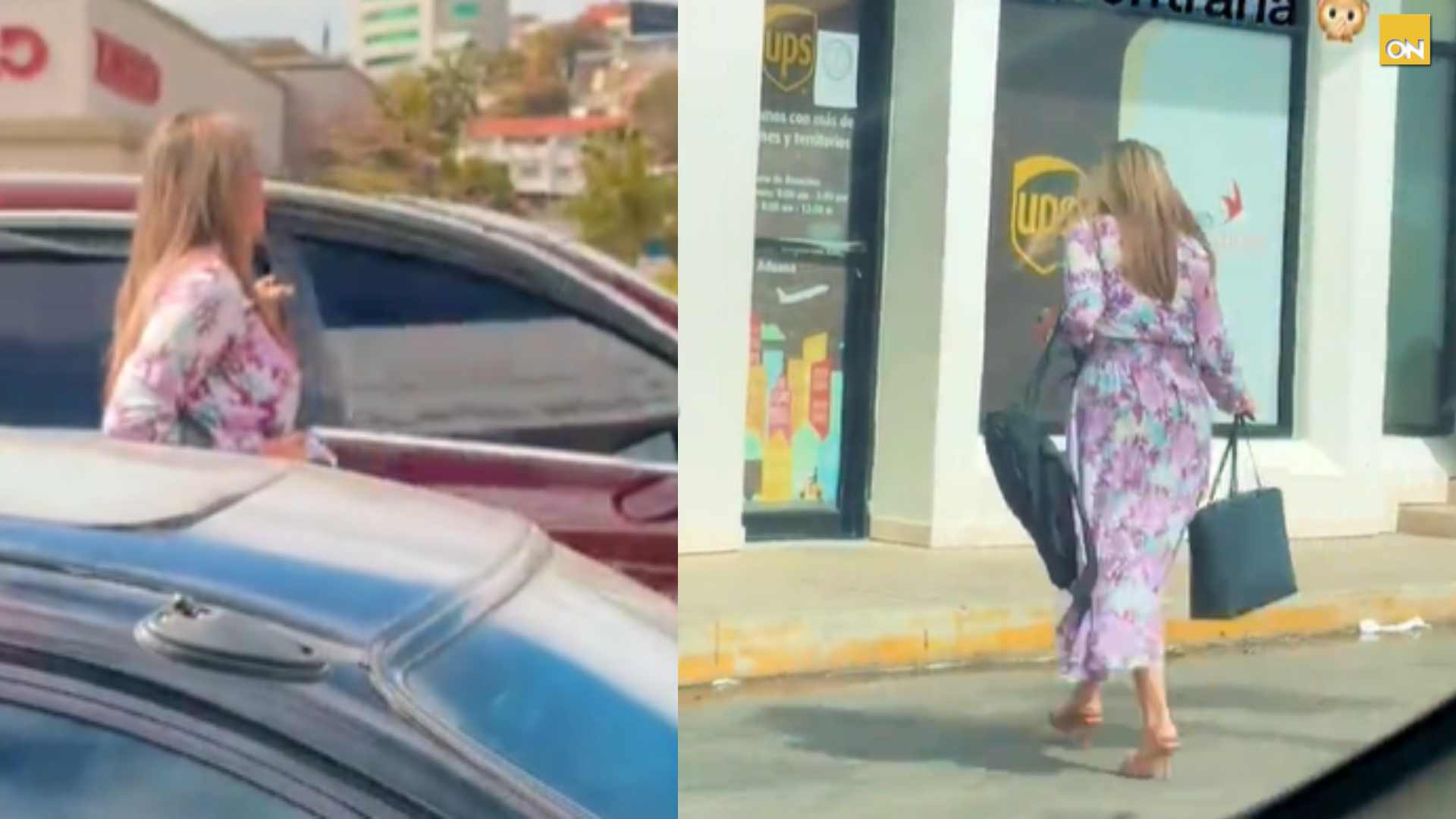 mujer elegante